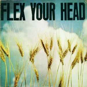 Flex Your Head Album Cover