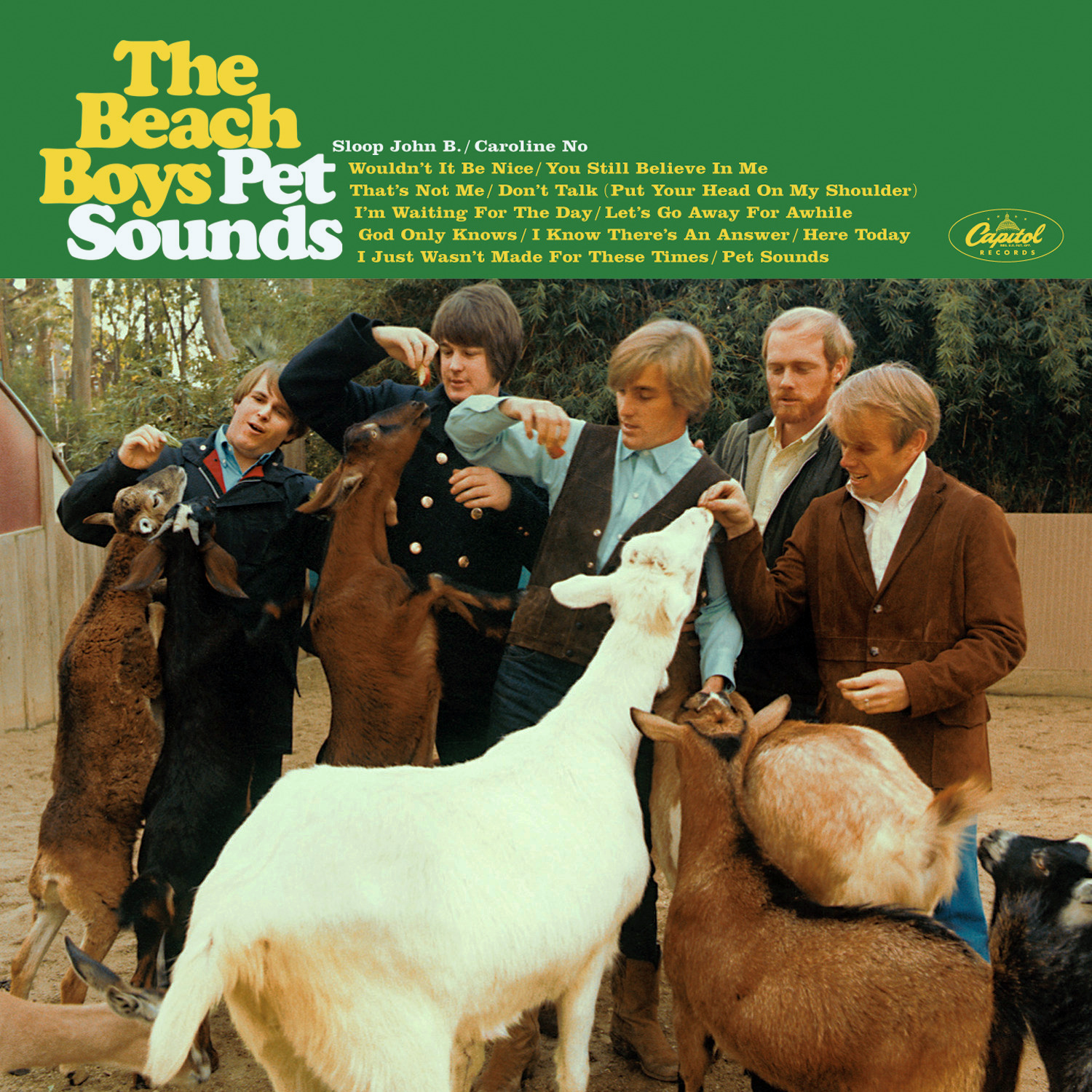 Pet Sounds Album Cover