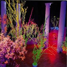 Warehouse: Songs and Stories Album Cover